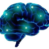 KSN — Kenya Society of Neuroscience